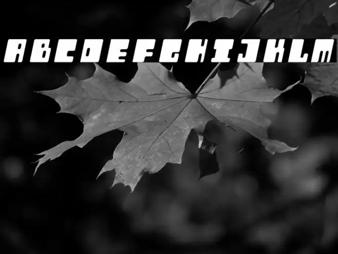 Orthotopes Italic Font examples