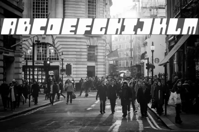 Orthotopes Italic Font examples