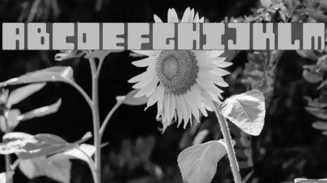 Orthotopes Font examples