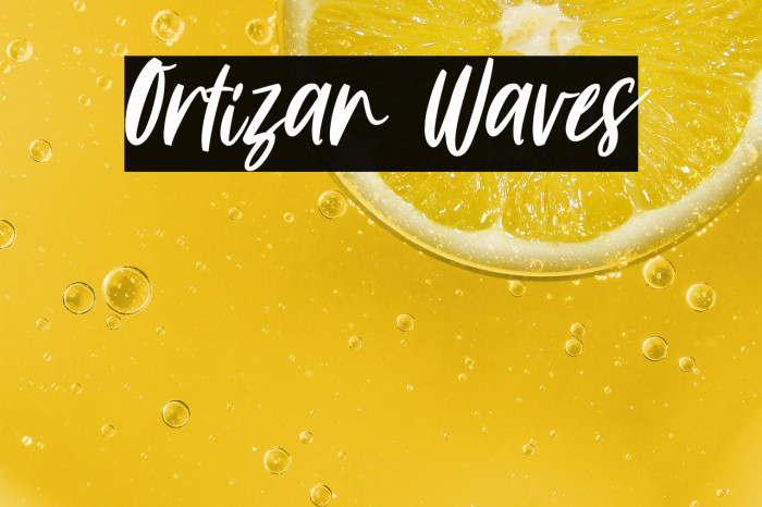 Ortizan Waves Example 1