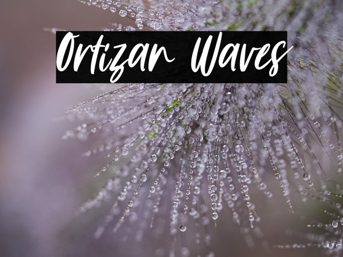 Ortizan Waves Example 2