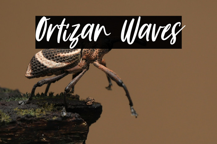 Ortizan Waves Example 3