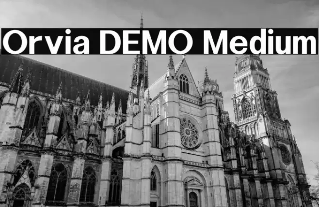 Orvia DEMO Medium フォント examples