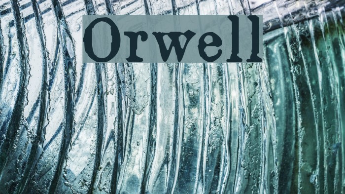 Orwell Font examples