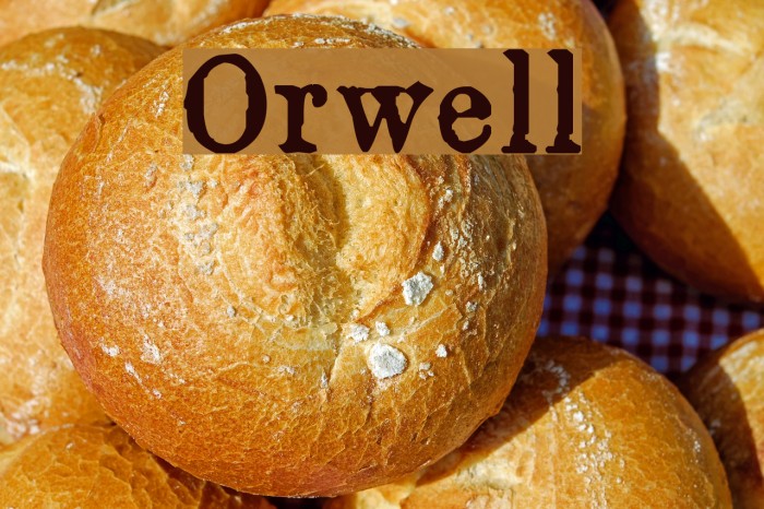 Orwell Font examples