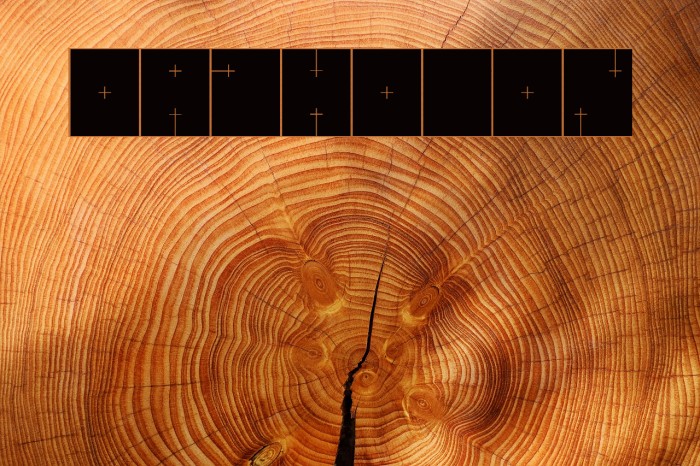 orthogon Font examples