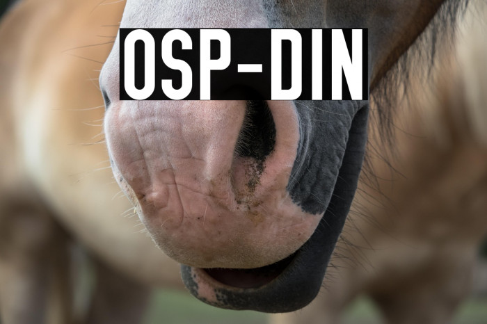 OSP-DIN Example 3