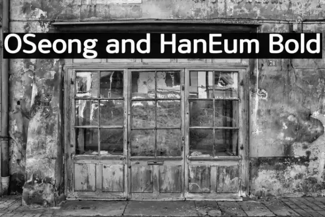 OSeong and HanEum Bold Polices examples
