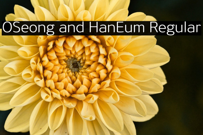 OSeong and HanEum Regular Example 2