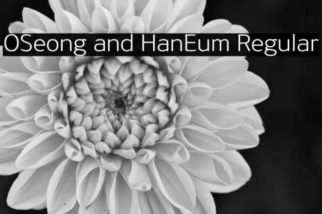 OSeong and HanEum Regular Polices examples