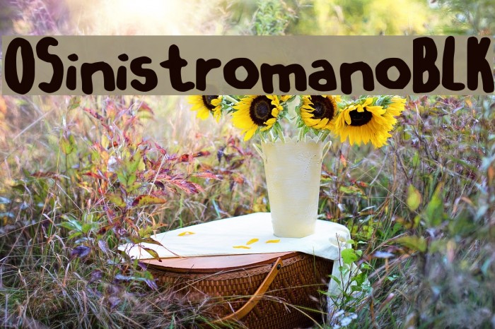 OSinistromanoBLK Font examples