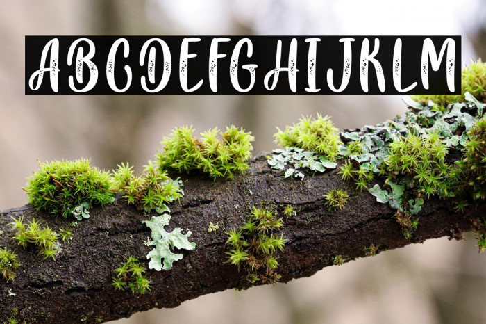 Osaka Mustache - Personal Use Example 1