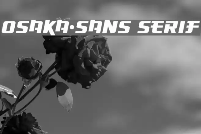 Osaka-Sans Serif Font examples