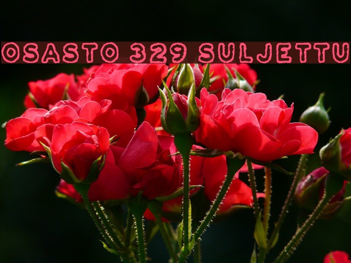Osasto 329 suljettu Font examples