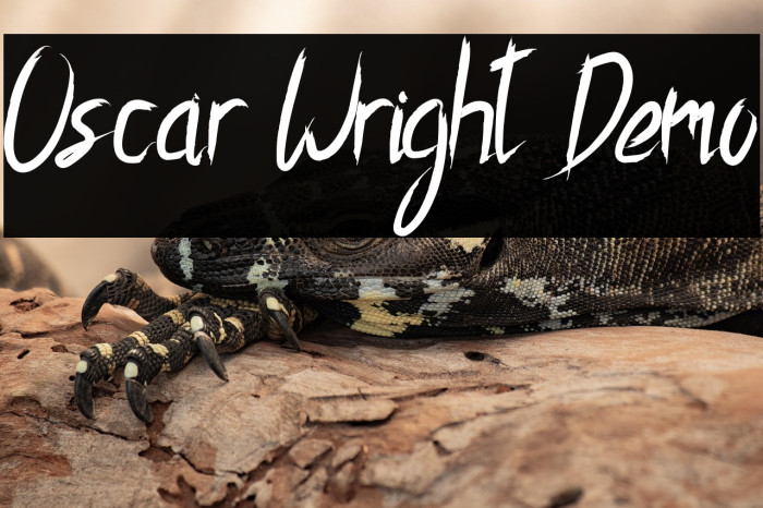 Oscar Wright Demo Example 2