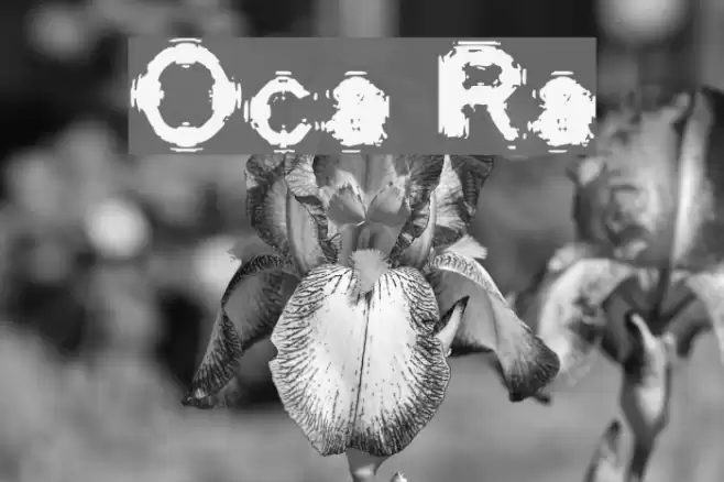 Oscillate Regular Font examples