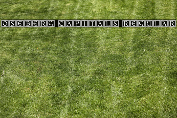 Oseberg Capitals Regular Example 3