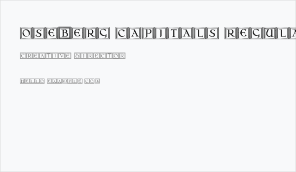 Oseberg Capitals Regular Business Card