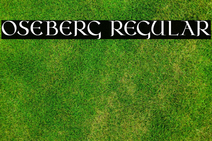 Oseberg Regular Example 1