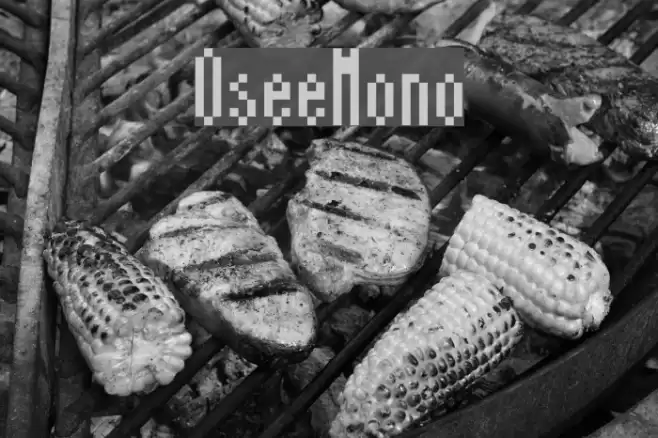 OseeMono Font examples