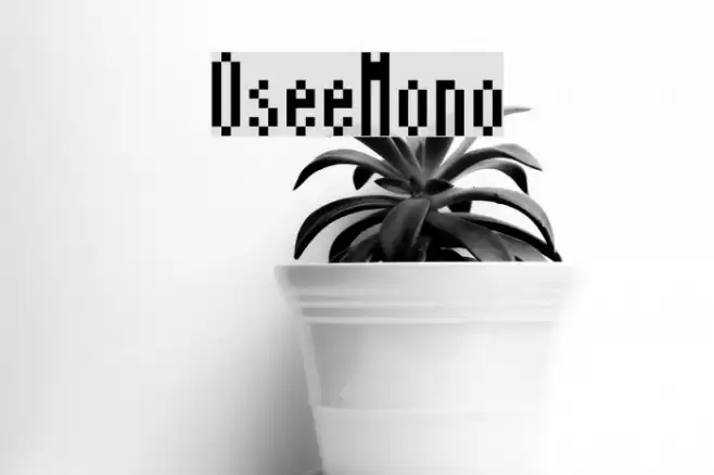 OseeMono Font examples