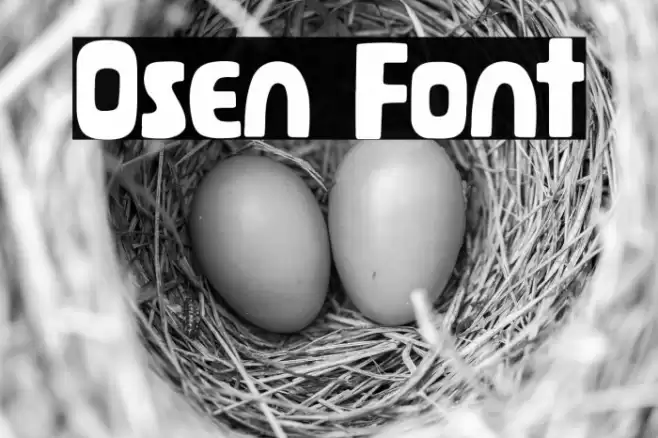 Osen Font examples