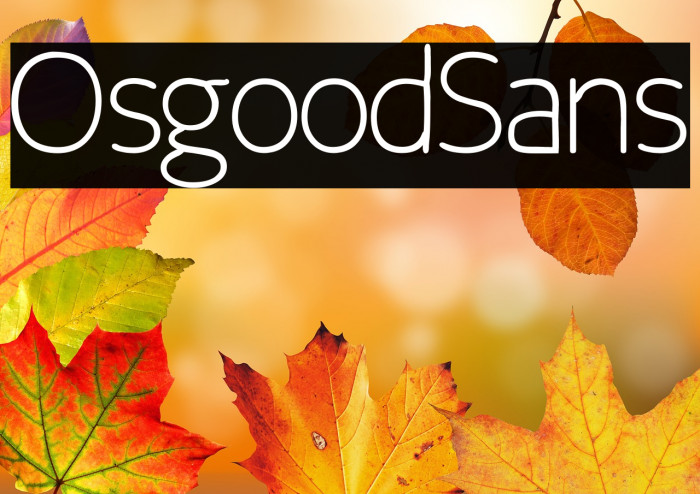 Osgood Sans Example 1