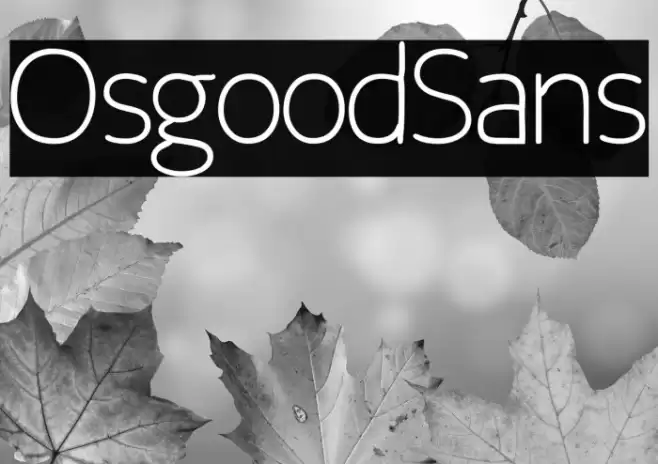 Osgood Sans Font examples