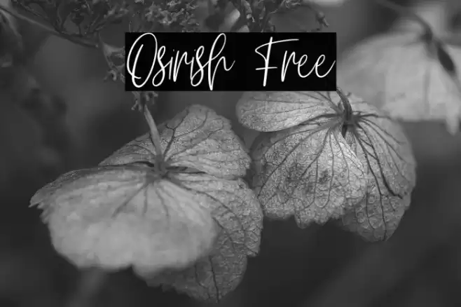 Osirish Free Font examples