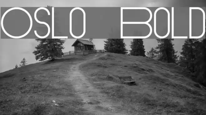 Oslo Bold Font examples
