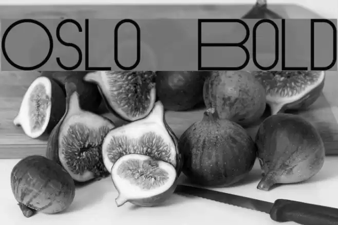 Oslo Bold Font examples