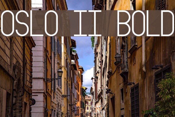 Oslo II Bold Font examples