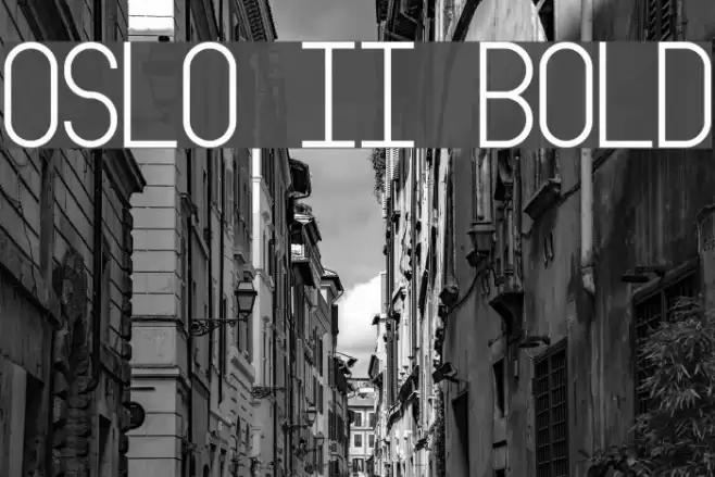 Oslo II Bold Font examples