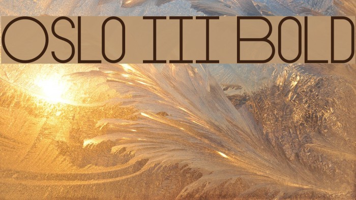 Oslo III Bold Font examples