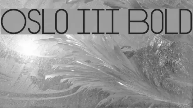 Oslo III Bold Font examples
