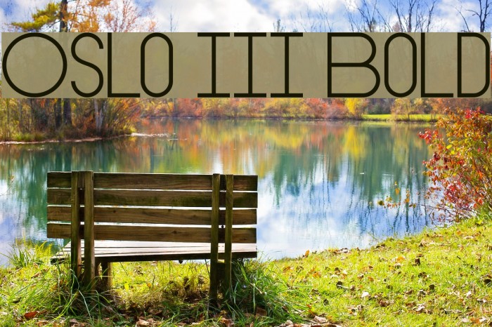 Oslo III Bold Font examples
