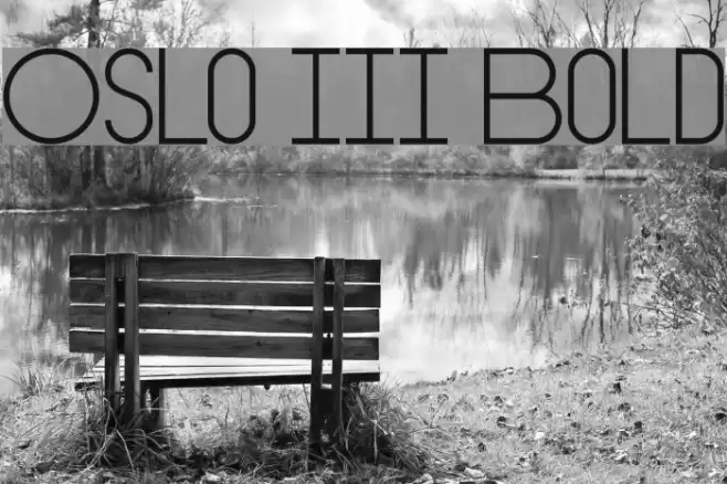 Oslo III Bold Font examples