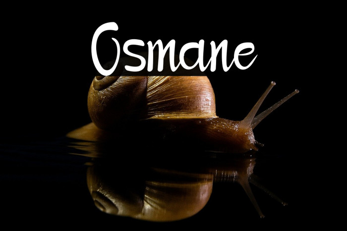 Osmane Example 2