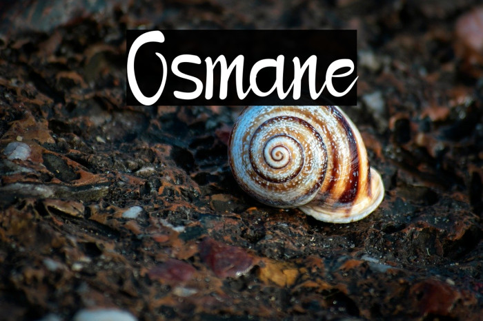 Osmane Example 3