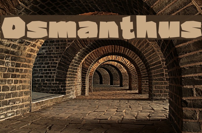Osmanthus Font examples