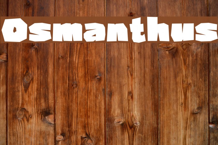 Osmanthus Font examples