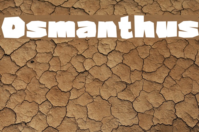 Osmanthus Font examples