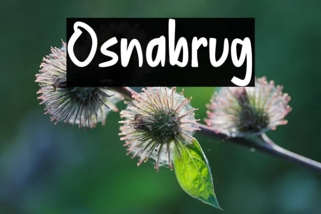 Osnabrug Example 3