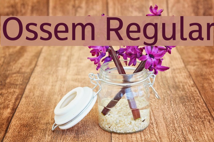 Ossem Regular Font examples