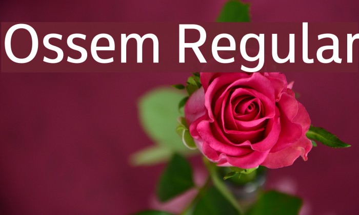 Ossem Regular Font examples