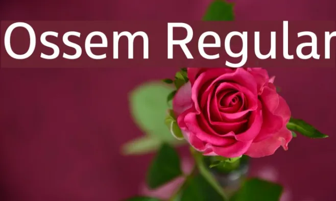 Ossem Regular Example 3