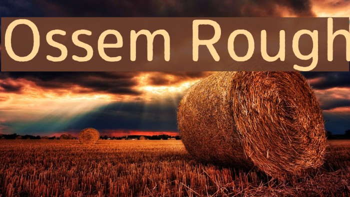 Ossem Rough Font examples