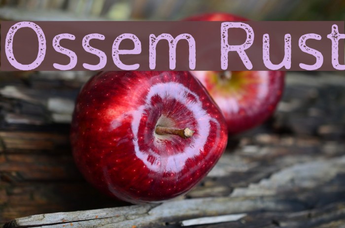 Ossem Rust Font examples