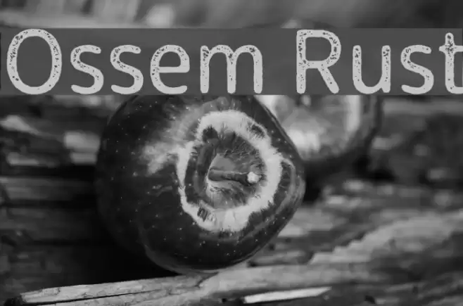 Ossem Rust Font examples