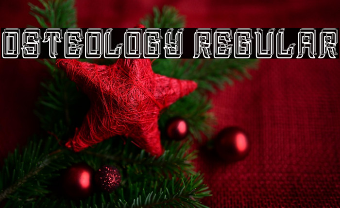 Osteology Regular Example 1